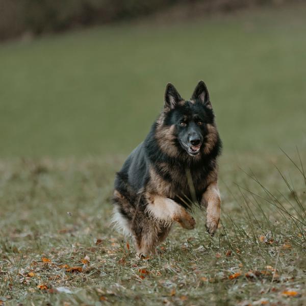 Rückruf-Kurs, Mo. 14 Uhr