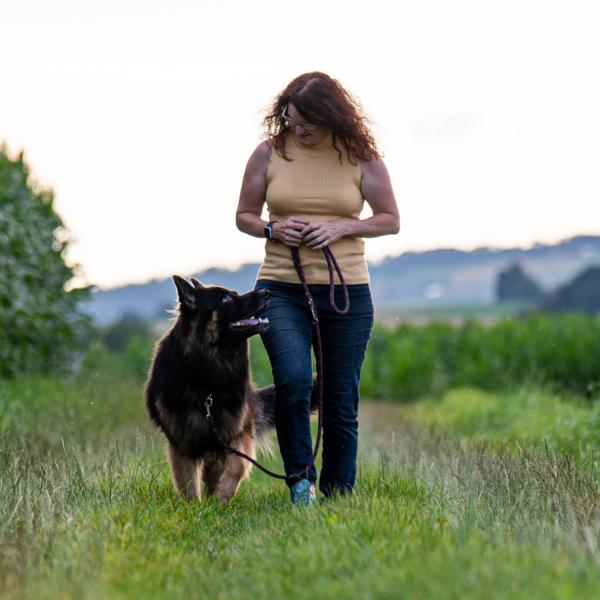 Leinenführigkeit Sa. 9 Uhr