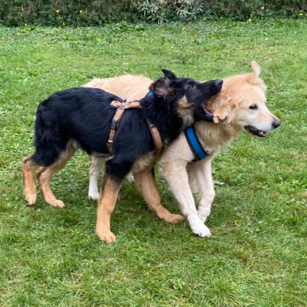 Körpersprache & Kommunikation, Sa. 21.3.2026