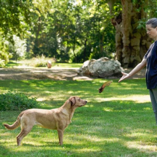 Impulskontroll-Kurs, Mo. 14 Uhr