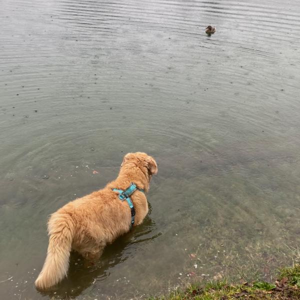 Anti Jagen Kurs, Di. 14 Uhr