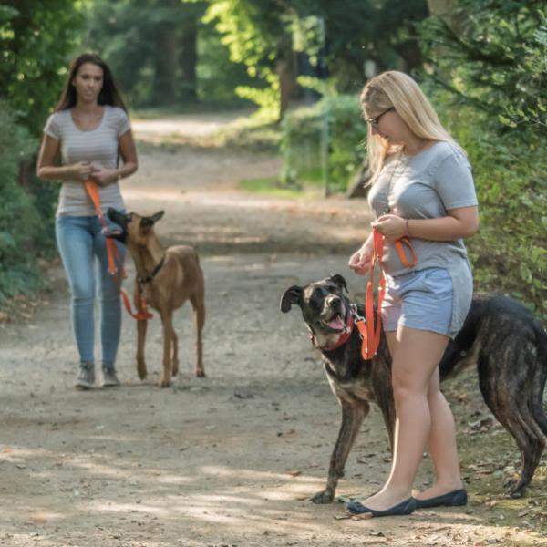 Social Walk-Begegnungstraining