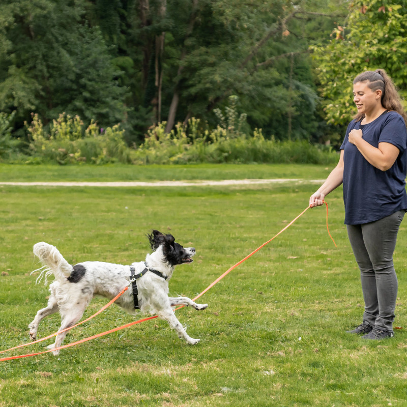 Intensivkurs-Rückruf