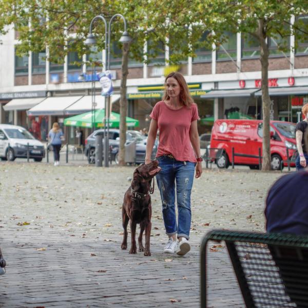 Alltagstraining für Fortgeschrittene
