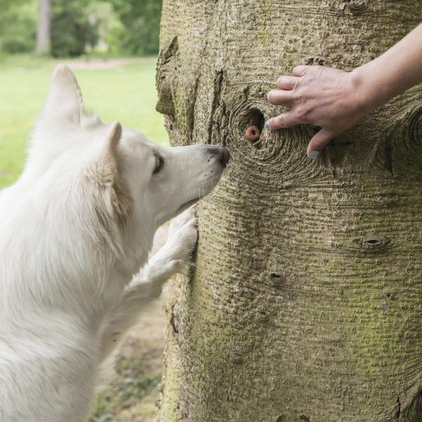 Beschäftigungsgruppe