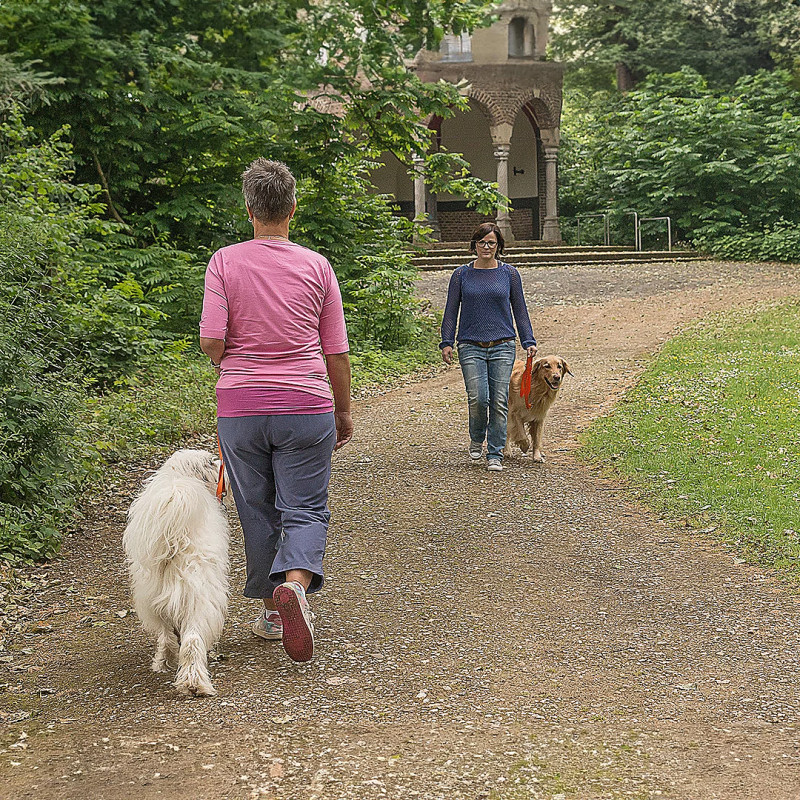 Spaziergang mit Begegnungstraining – 'Social Walk'