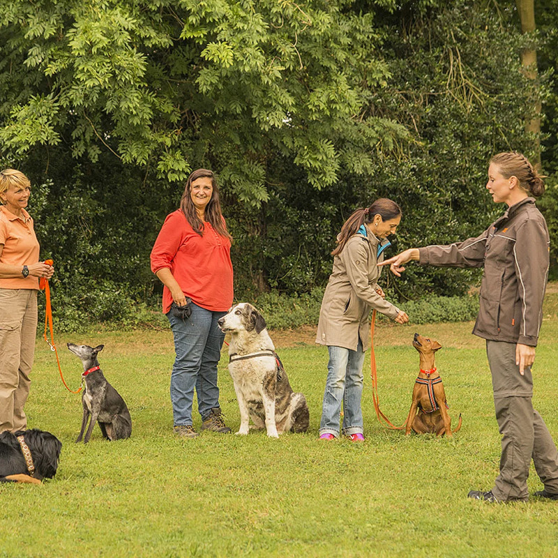 Gruppentraining (Freitag)