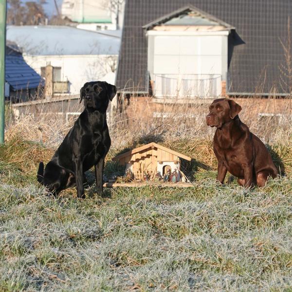 Weihnachtsmarkttraining