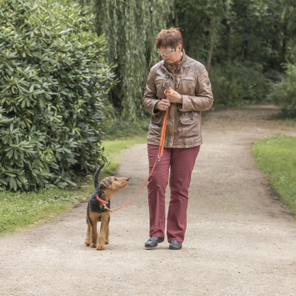 Leinenführigkeitskurs