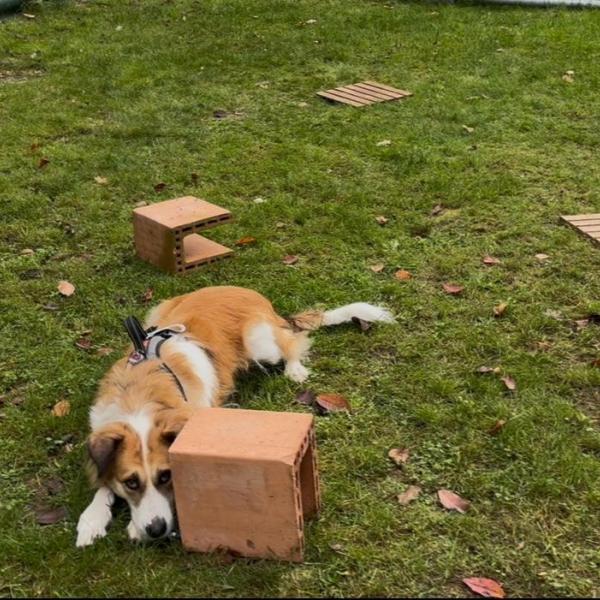 Suche nach klein(st)en Gegenständen