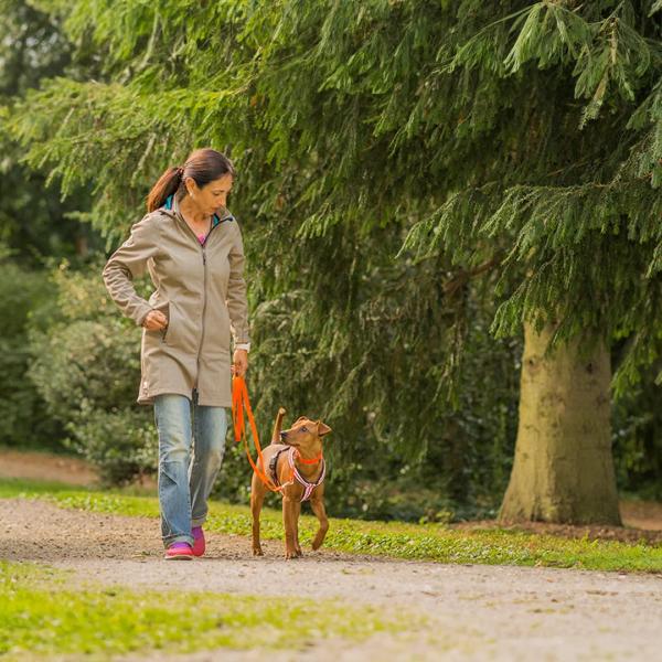 Leinenführigkeitskurs