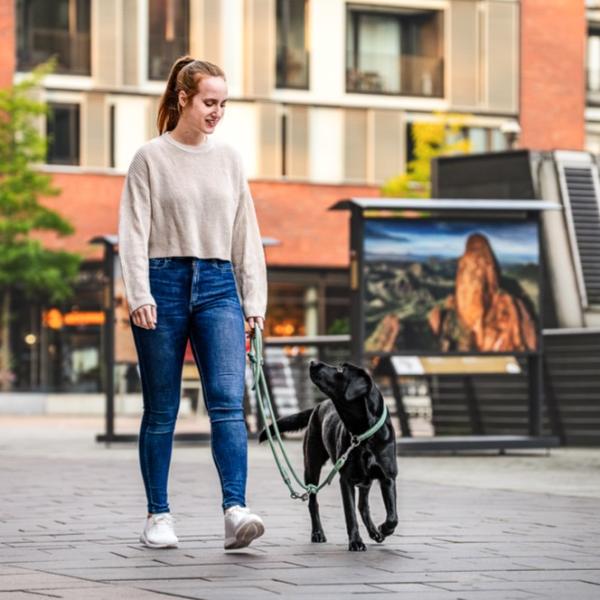 BASICS Kurs (Feb/März)