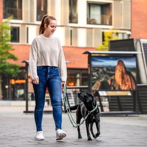 Leinenführigkeit Intensivkurs (Jan/Feb) - 14-tägig - Kurs 2