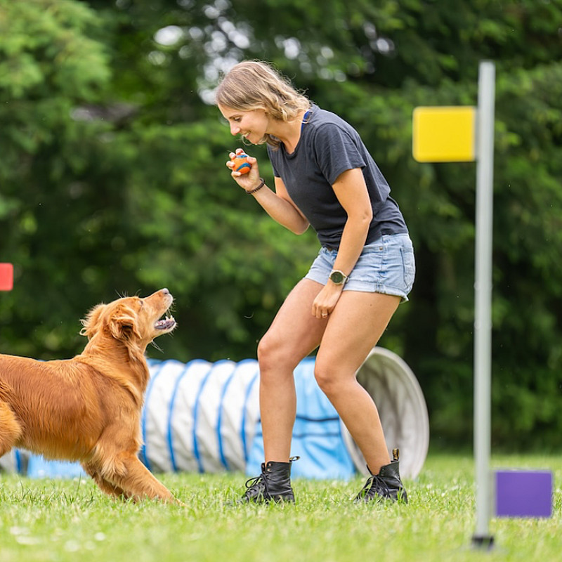 Curving Advanced - Start März