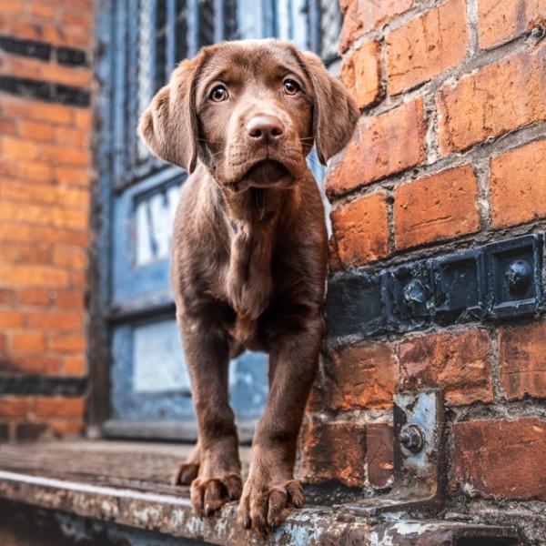 Juniors (Jan A) - 14-tägig