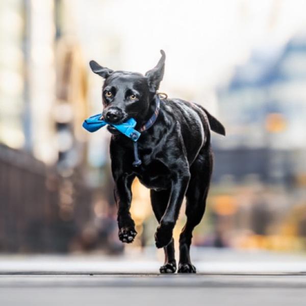 Youngsters Kurs - Start April