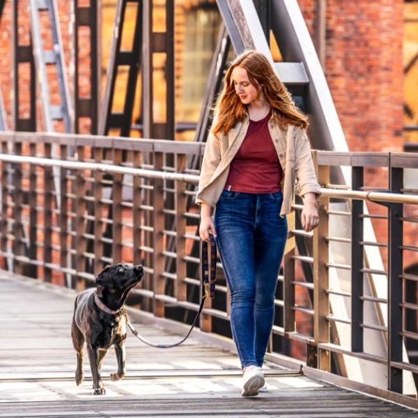 Vorbereitungskurs (Feb/Mär) Gehorsamsprüfung zur Befreiung von der Anleinpflicht