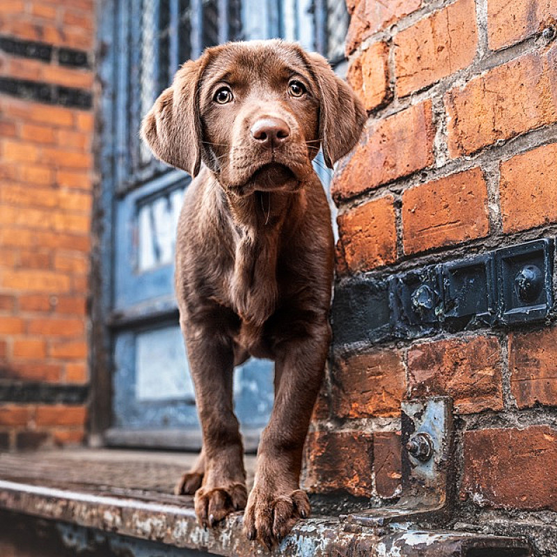 Juniors (März-Mai) - 14-tägig