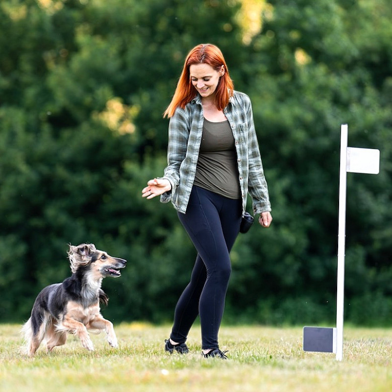 Curving Beginner - Start April