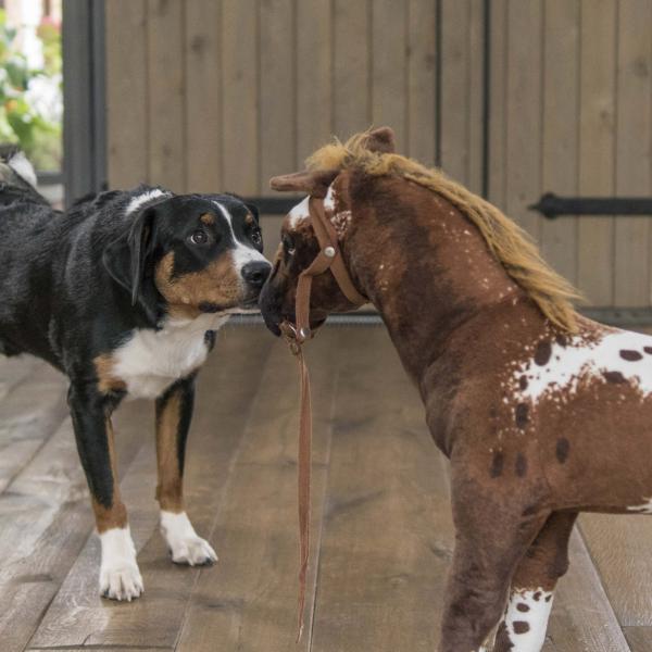 Umweltsicherheitstraining - Intensivkurs