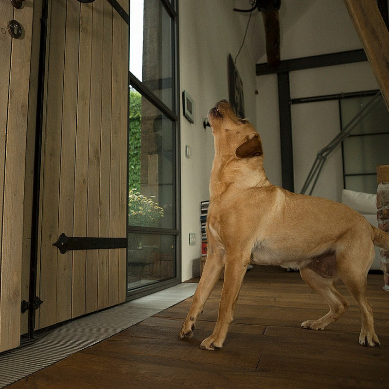 Territorialverhalten - mein Haus, mein Garten, mein Park (Ingolstadt)