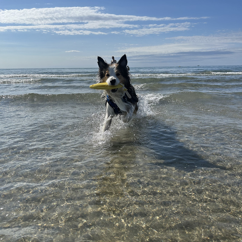 📸 Nasse Pfoten und professionelle Fotos