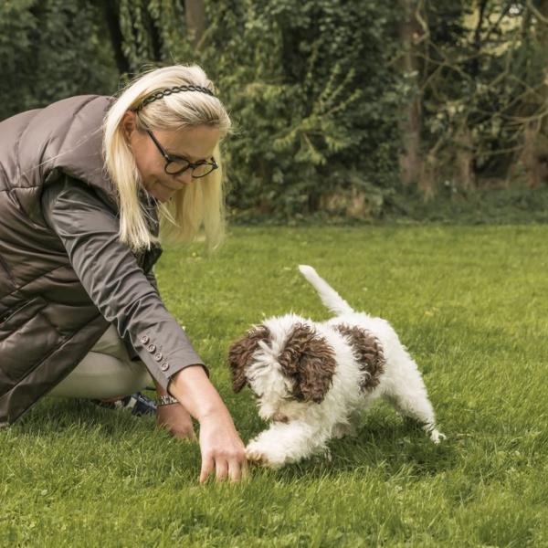Welpengruppe (Trainingsgelände)