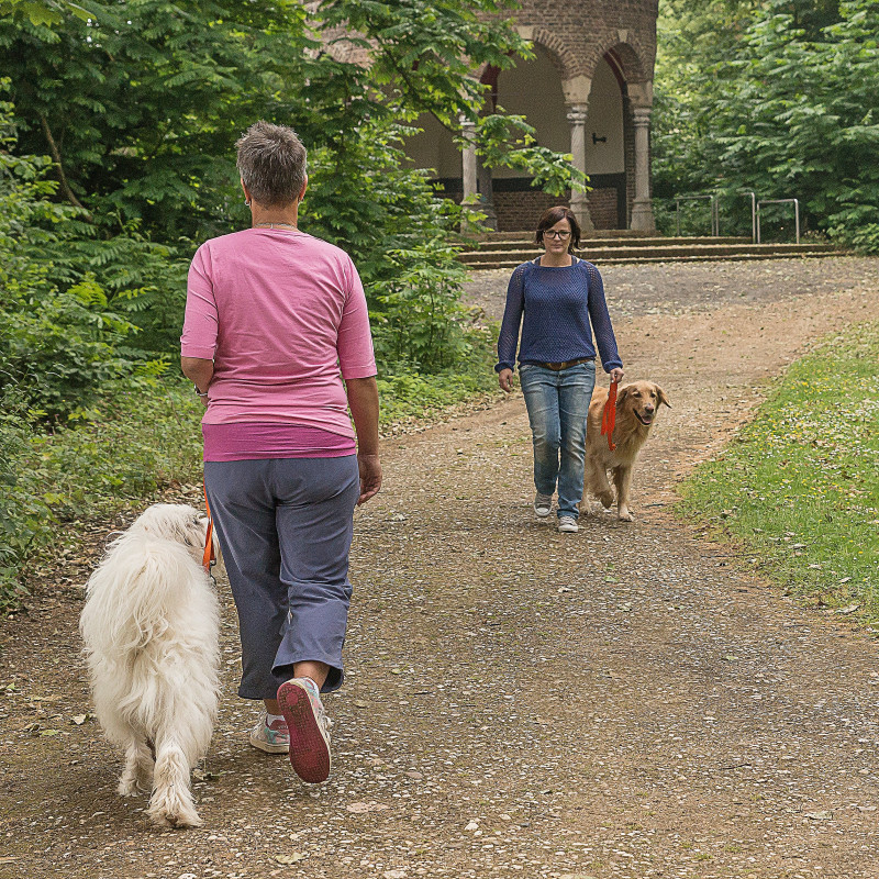 Begegnungstraining / Social Walk (Holledau: Pfaffenhofen / Allershausen)