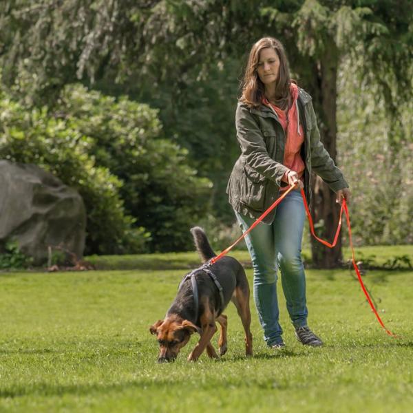 Mantrailing Gruppe-2 (Holledau)