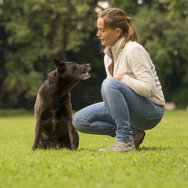 Themenstunde - Umweltsicherheit