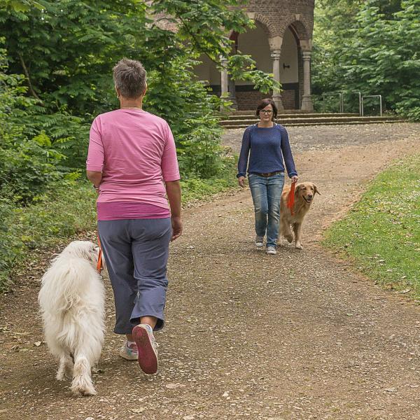Begegnungstraining / Social Walk (Holledau)