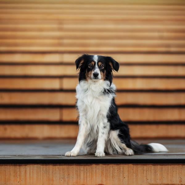 📸 Gemeinsam unterwegs – Fotowalk durch Ingolstadt