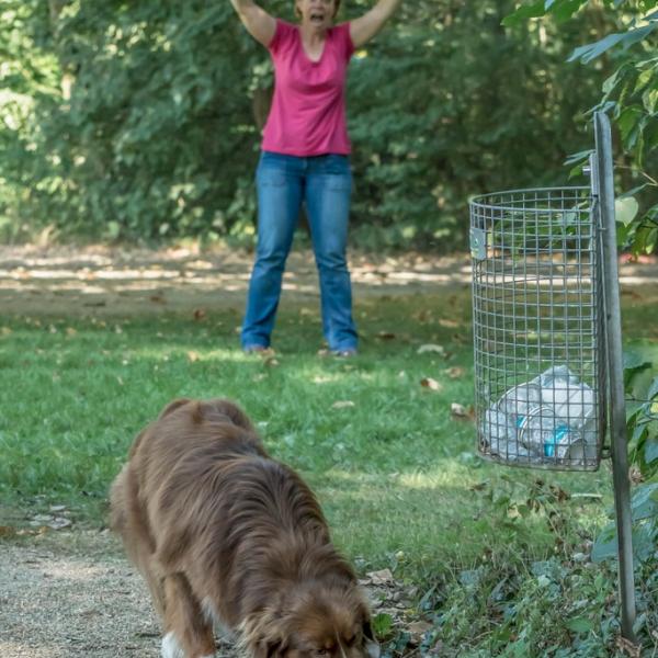 Themenstunde -Anti-Giftköder-Training (Dachau)