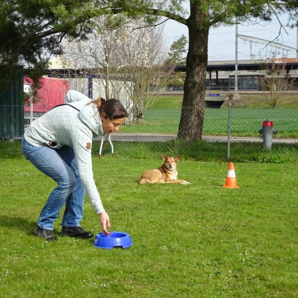 Spiel & Spaß mit Köpfchen