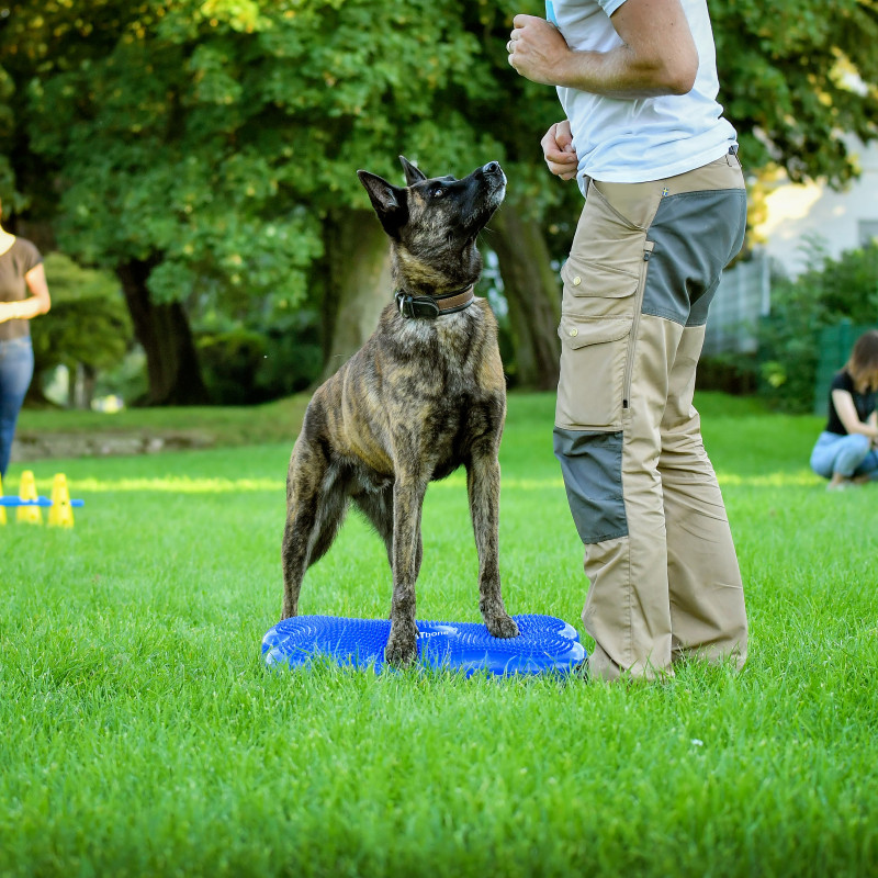 Koordinationstraining (Trainingsgelände)