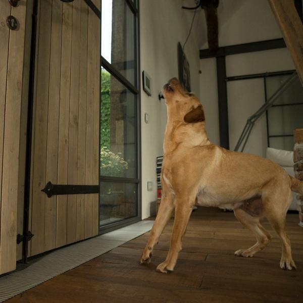 Territorialverhalten - mein Haus, mein Garten, mein Park (Ingolstadt)