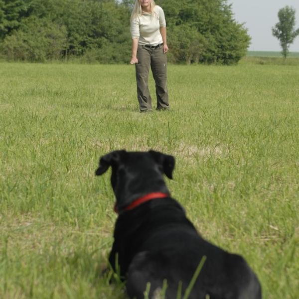 Distanzarbeit – sicher führen auf Abstand