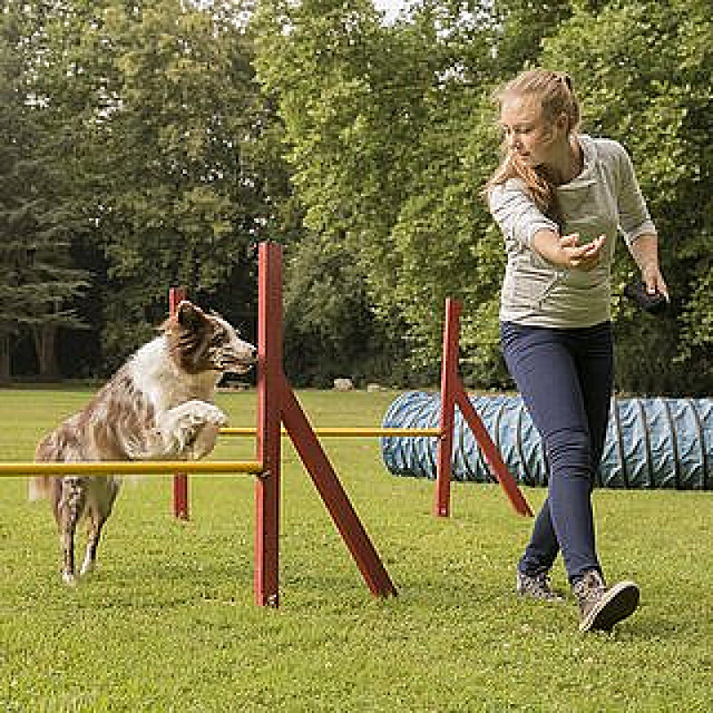 Spiel Spaß - Zirkeltraining
