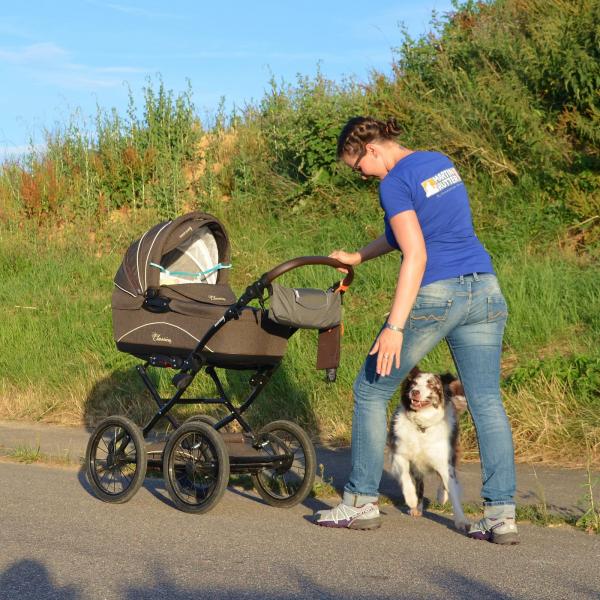 ATP - Alltagstauglichkeitsprüfung mit Hund