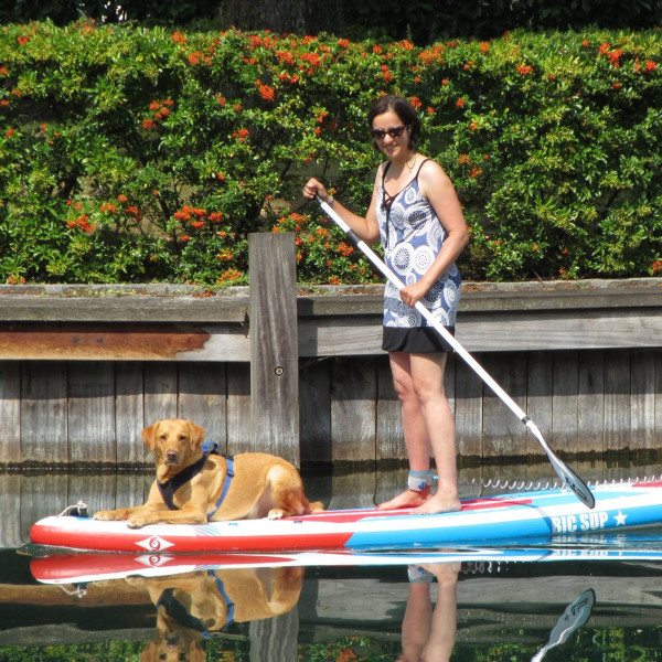 Urlaub mit Hund