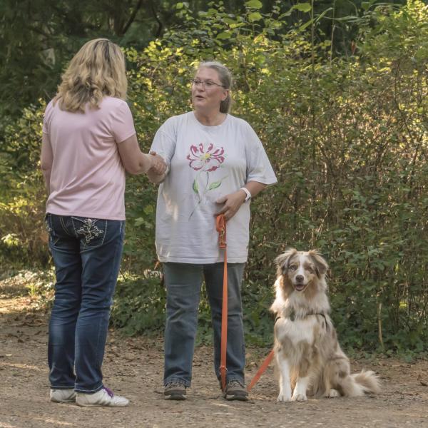 ATP - Alltagstauglichkeitsprüfung mit Hund