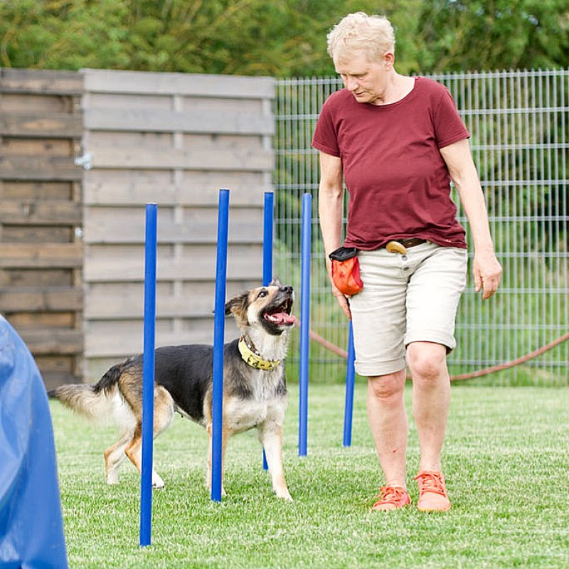 Fun Parcours - Mini-Kurs