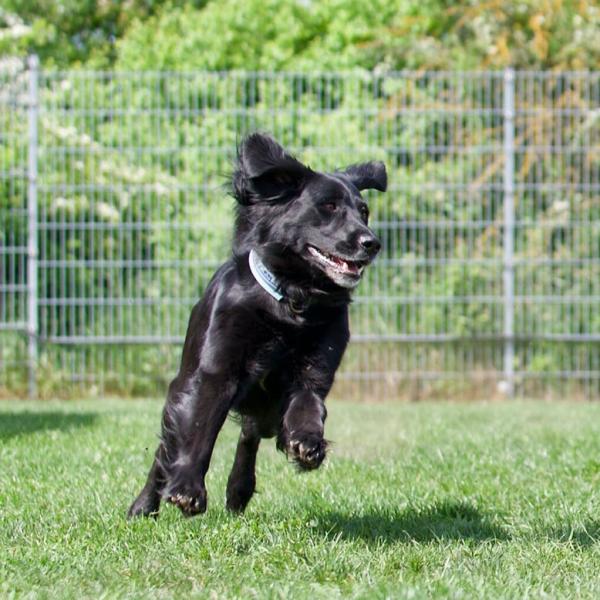 Distanztraining für Einsteiger