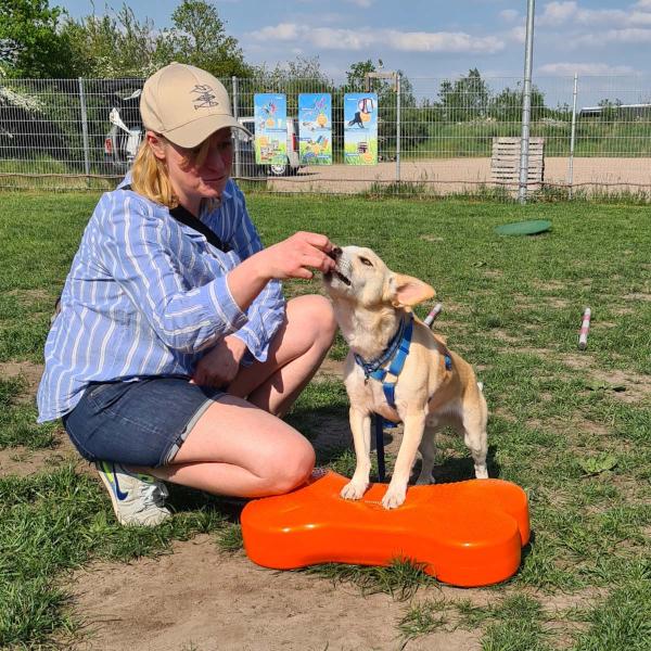 Mobility - Koordinationstraining (dienstags)