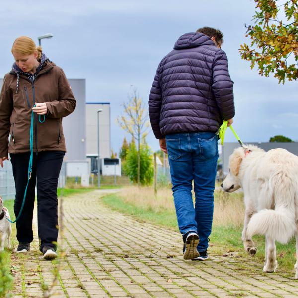 TS Begegnungstraining