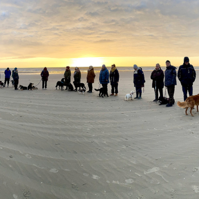 Urlaub mit Hund Februar 2027 II