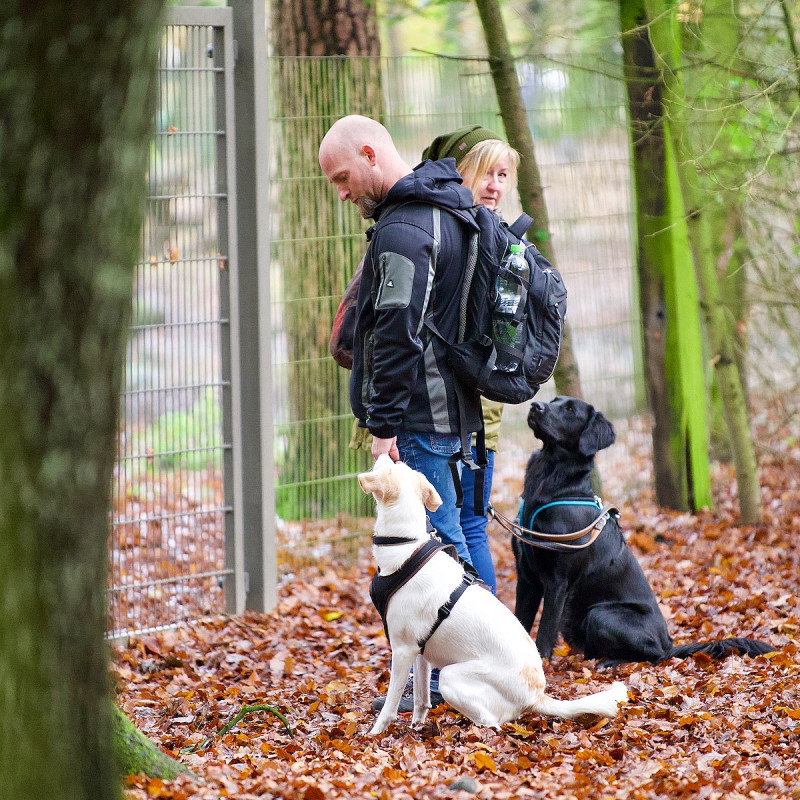 Futterbeutelsuche im Wald