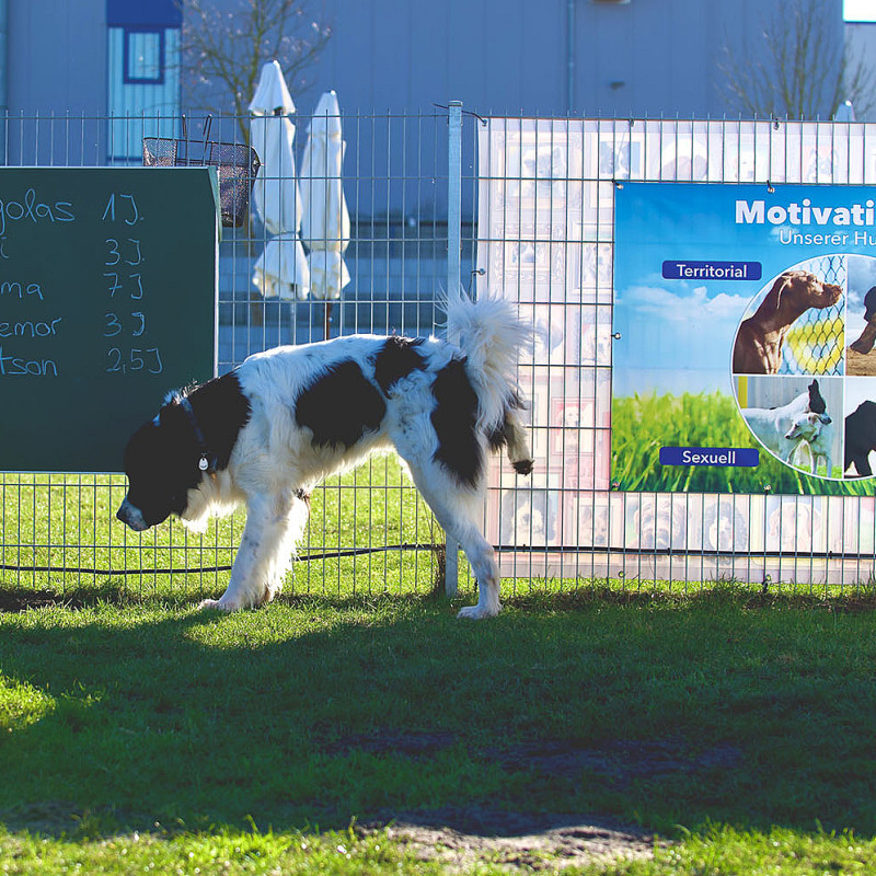 Körpersprache und Kommunikation - Seminar | April
