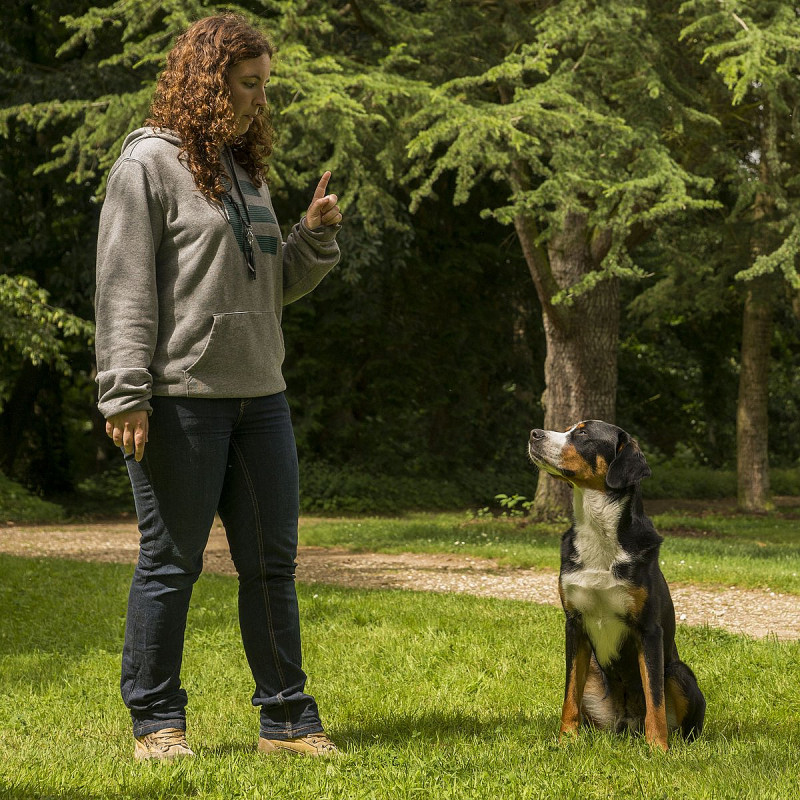 Themenstunde "Stilles" Training / April 2026