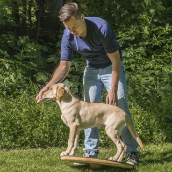 Koordinations-, Mobilitätstraining (Freitag 09:00 Uhr) / April 2026